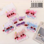 KIT HEBILLAS PARA PELO CON ANTEOJO BC2522/25229 - Image 3